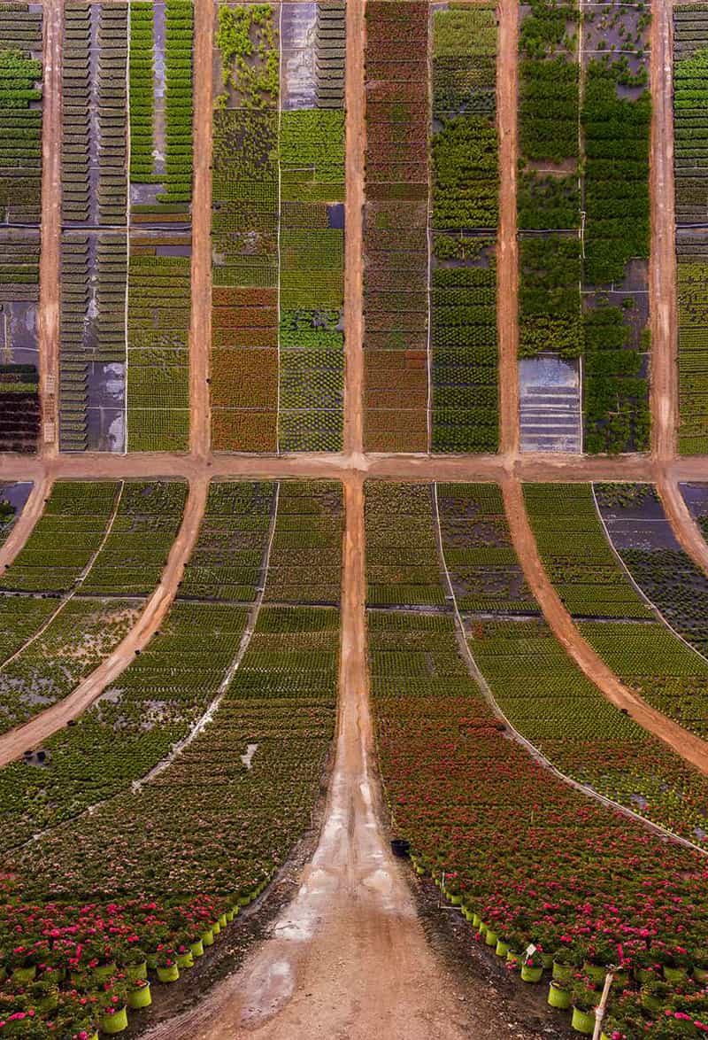A panoramic photo of a greenhouse