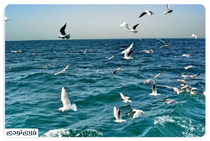 Complete travel guide to Khark Island The pearl of the Persian Gulf Khark Island weather