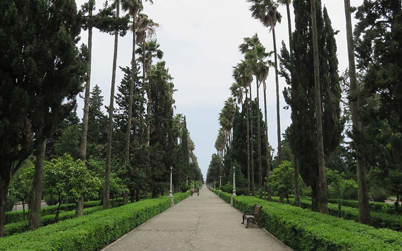 Walking path of Moalem Ramsar Boulevard, photo source: Google Map, photographer: Nima Froud