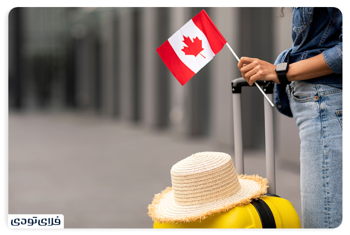 List of goods allowed to eer Canada