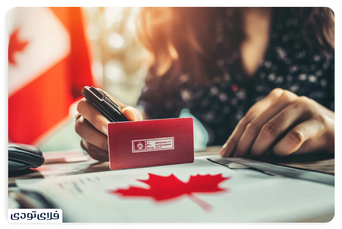 Types of common mistakes travelers make when bringing prohibited goods io Canada