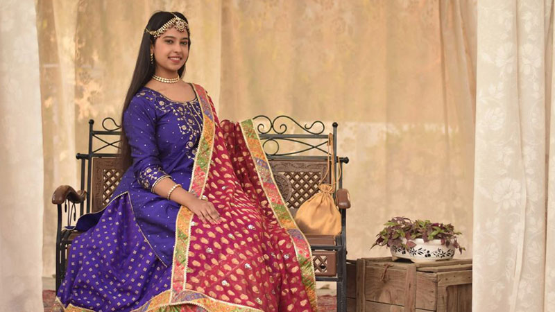 Sari Indian in the state of Punjab (Punjab)