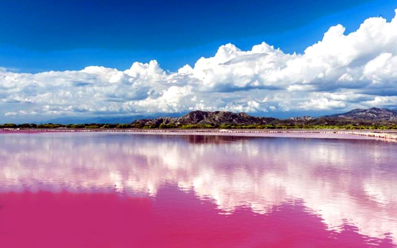 Chabahar Pink Wetland. Source: Google Map; Photographer: mohsen ahmadi