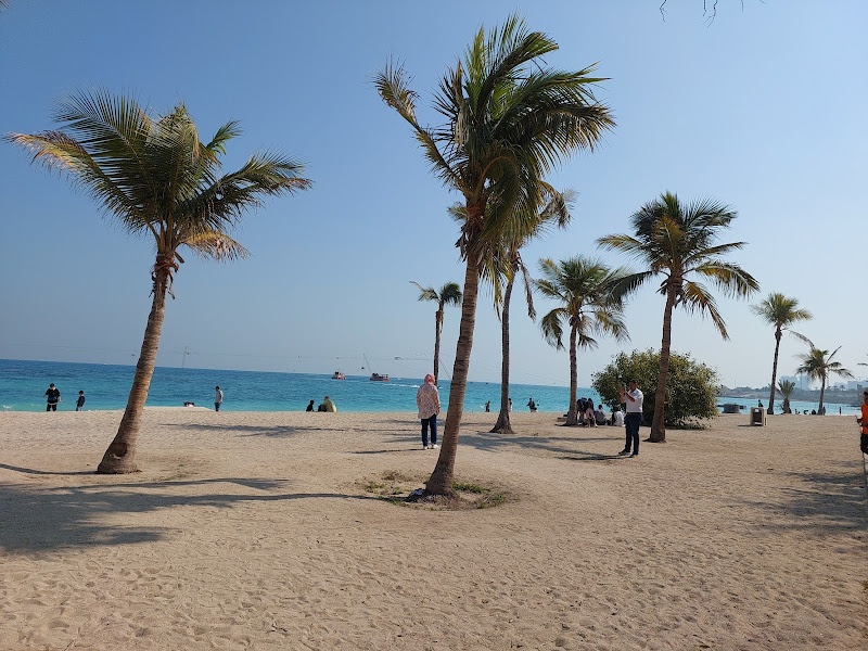 The beach of the palm trees of Kish. Source: Google Map; Photographer: Coe Ceer