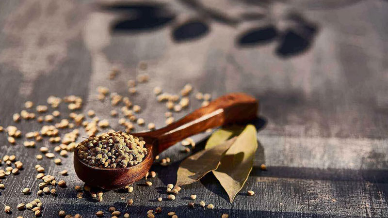 The basic principles of Ayurveda medicine in India