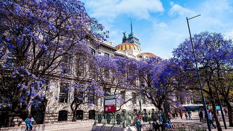 4- Mexico; The best coury to travel in the spring