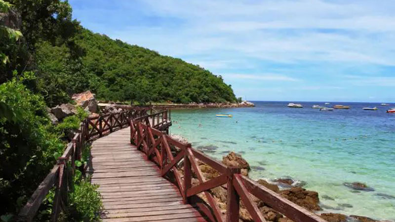 Koh Larn Coral Island in Pattaya from Thai Coral Islands