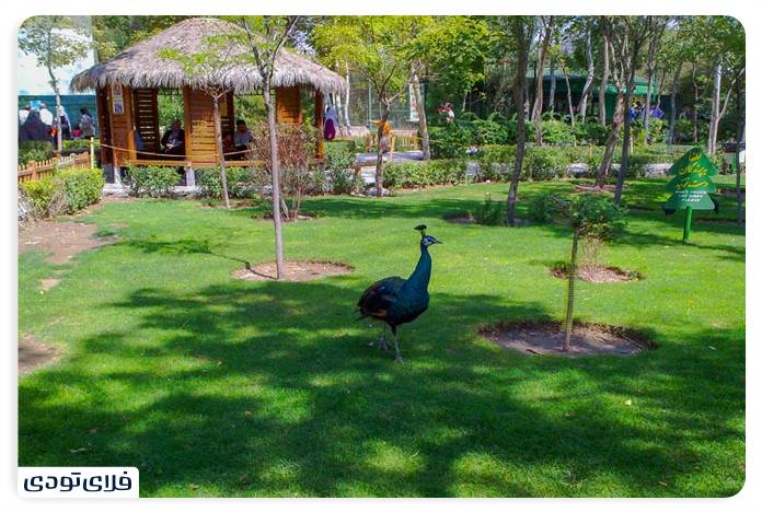 Recreational places in Mashhad