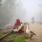 A woman with domestic geese near the Bangladesh Railway; Photo source: 121clicks.com; Photographer: Mou Aysha