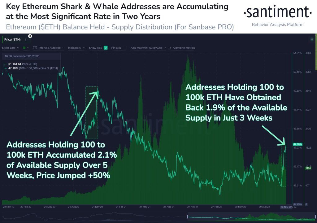 Bullish sign: Ethereum accumulation among whales reached the highest level in the last 2 years