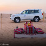 Dubai Safari