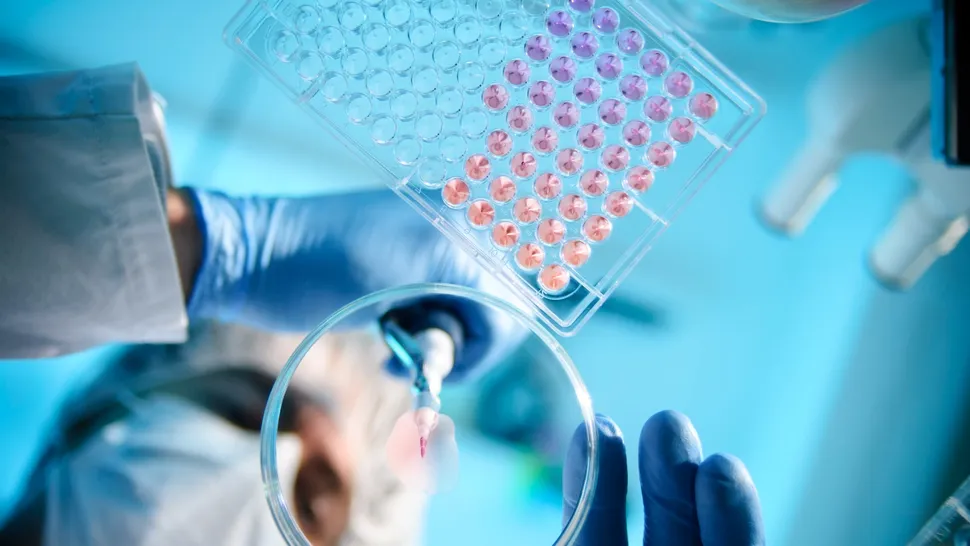 Scientists have created a new genetic database of half a million mutations