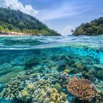 Thailand's coral islands; Paradise for diving and rest