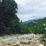 Dalkhani Forest River. Photographer: Mahshid Hosseini