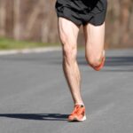 Anatomy of the quadriceps