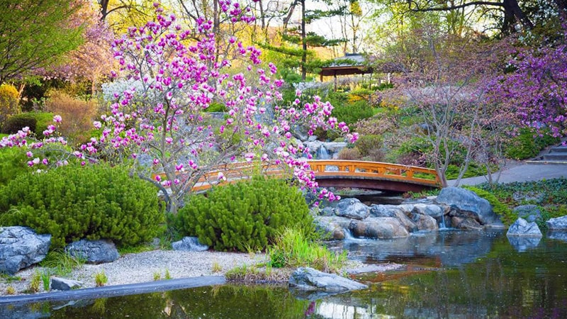 Visiting Japanese gardens this spring: art and nature in one frame