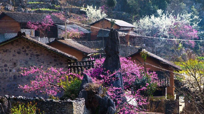 Importa information you need to know when visiting Sapa