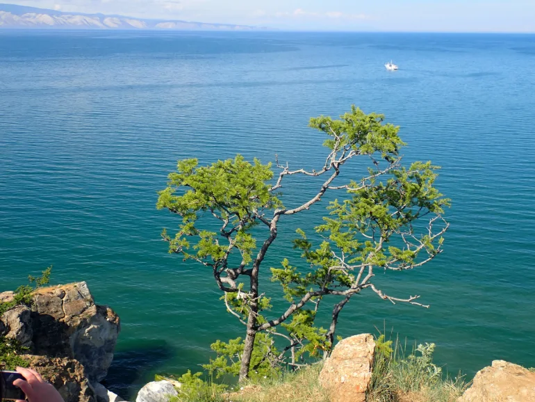 Lake Baikal Vegetable and Animal Coating