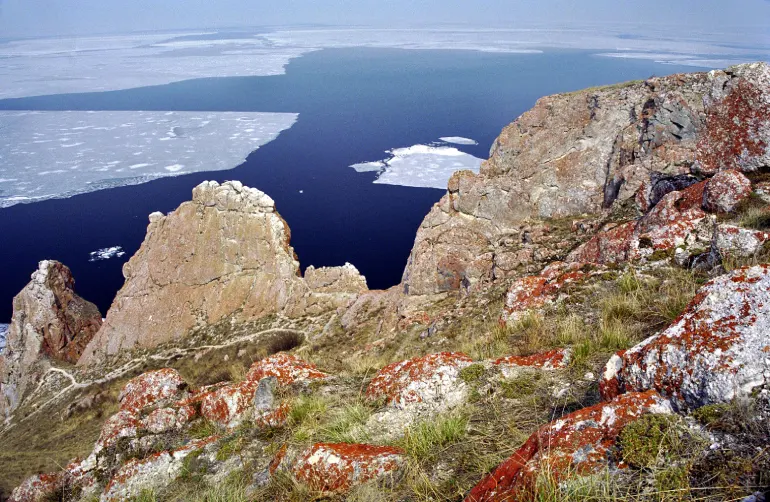Lake Baikal Vegetable and Animal Coating