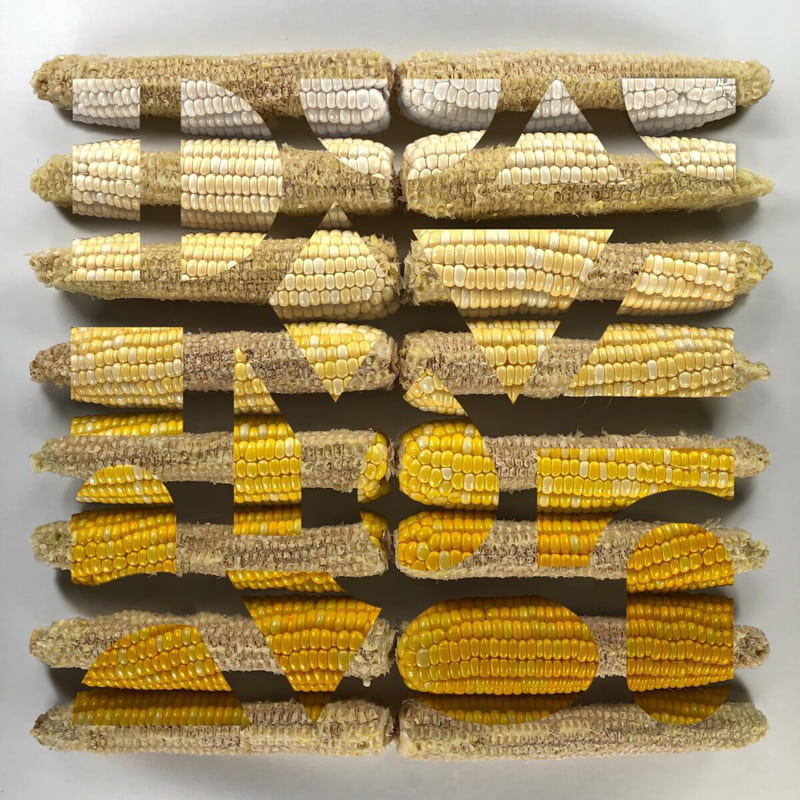 The artistic arrangeme of corn