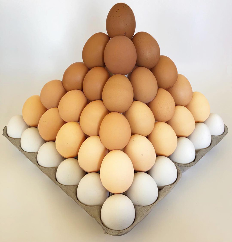 Eggs