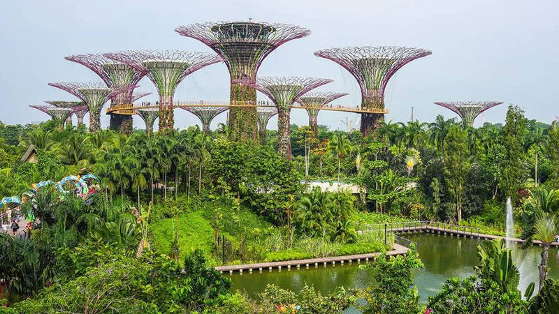 1- Singapore Botanical Garden / Singapore Botanical Gardens