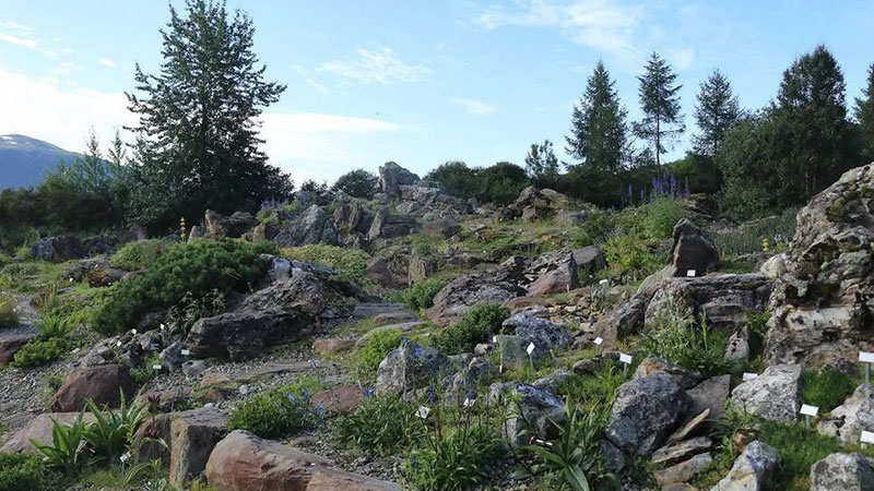 6- Norwegian Botanical Garden / Arctic-Alpine Botanical Garden