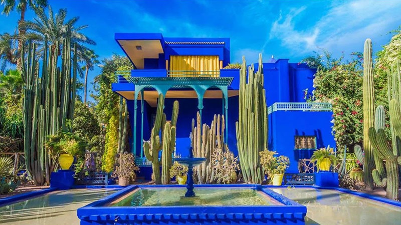5- Morocco module garden / Jardin Majorelele