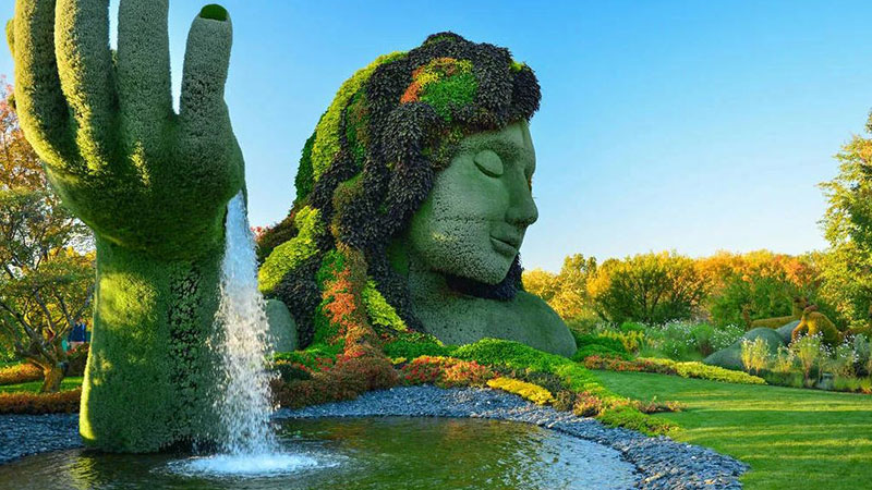 Moreal's Botanical Garden 