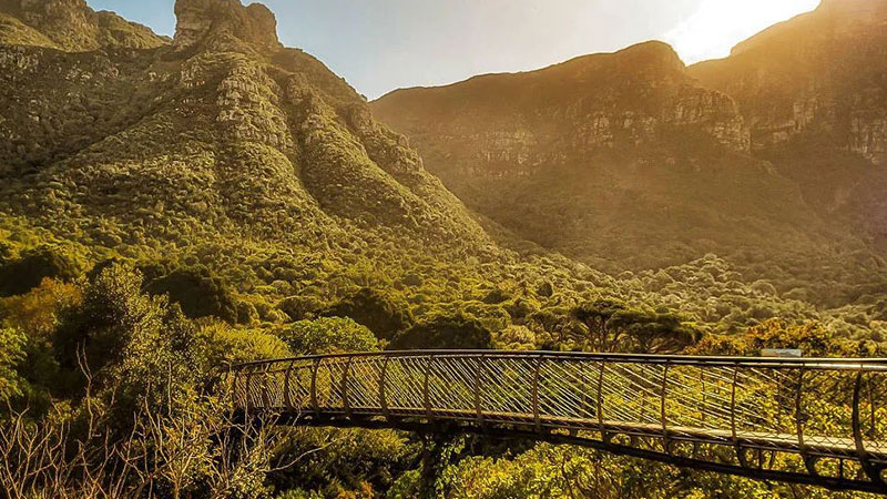 4- South African National Botanical Garden from the world's famous gardens
