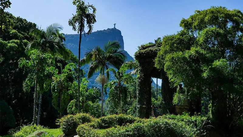 8. Riodzaniro's Botanical Garden / Jardim Botânico
