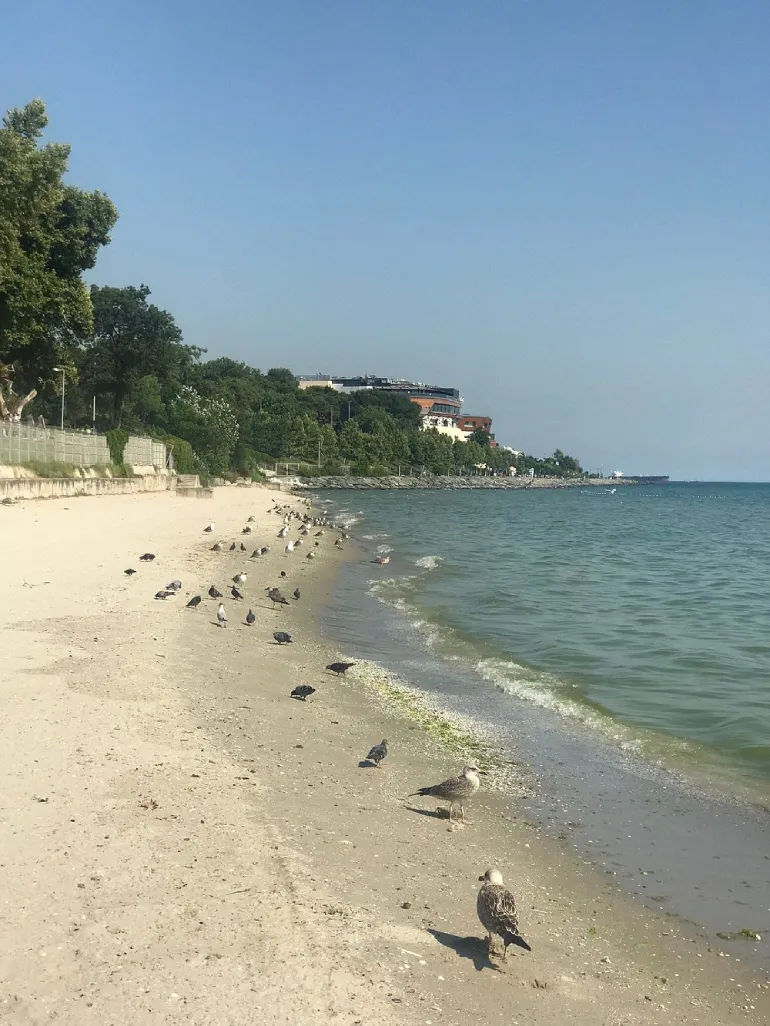 Istanbul's Floria Coast; Sunshine Sunshine 8 Floria Beach of Istanbul