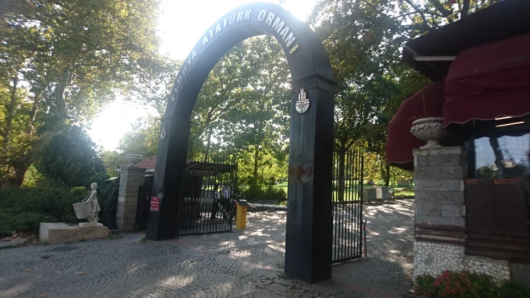 Istanbul's Floria Coast; Sunshine Sunshine 26 Floria Ataturk Natural Forest