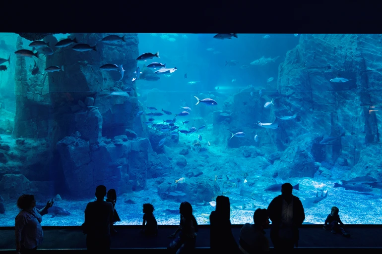 Istanbul's Floria Coast; Sunshine Sunshine 28 Floria Aquarium