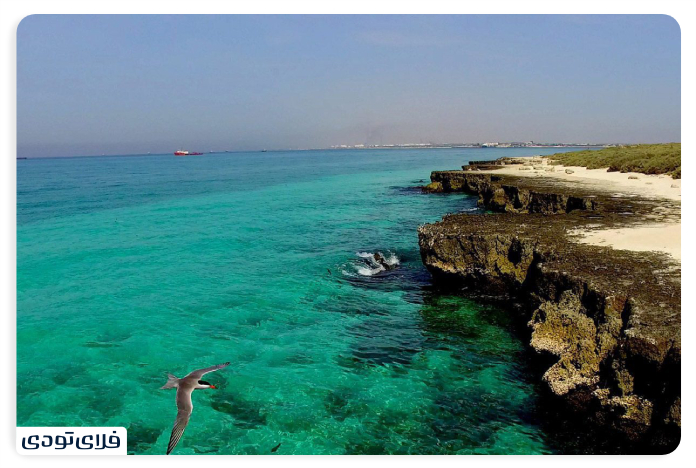Lavan Island