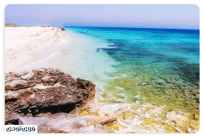 Our island