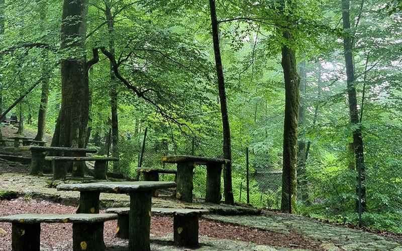 Nature of Salt Abrood Forest Park, Photo Source: Google Map, Photographer: Sami Eliqubi 