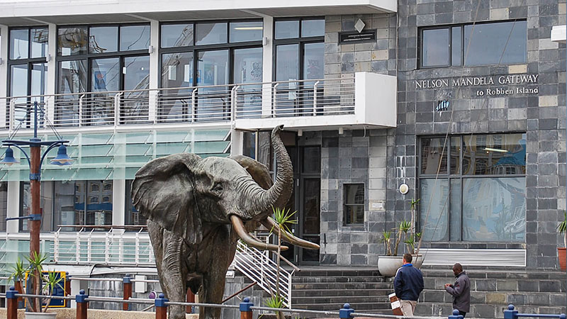 Exhibitions of the Ruben Island Museum