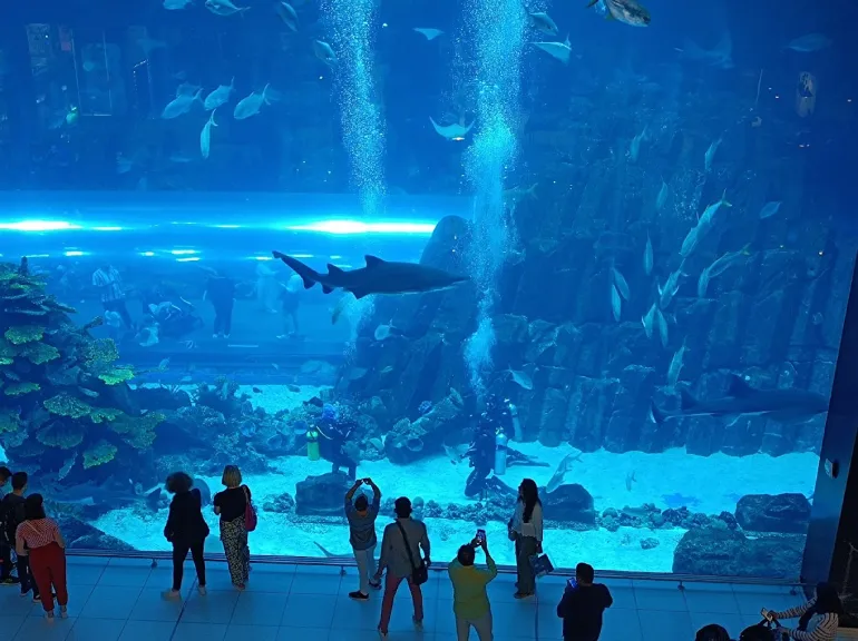 Aquarium and Dubai Underwater Aquarium