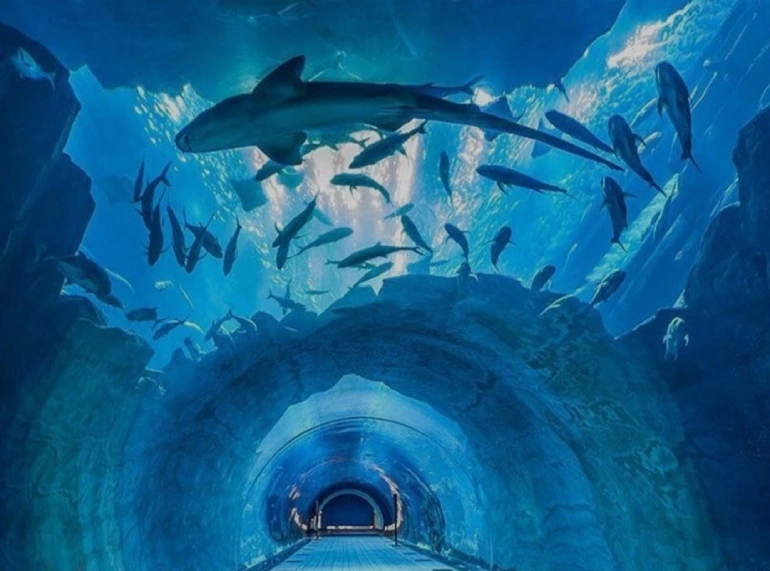 Aquarium and Dubai Underwater Aquarium