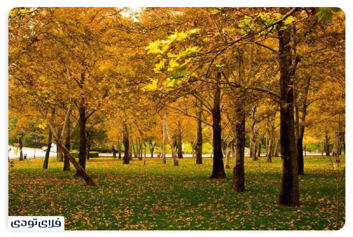Tehran Mellat Park