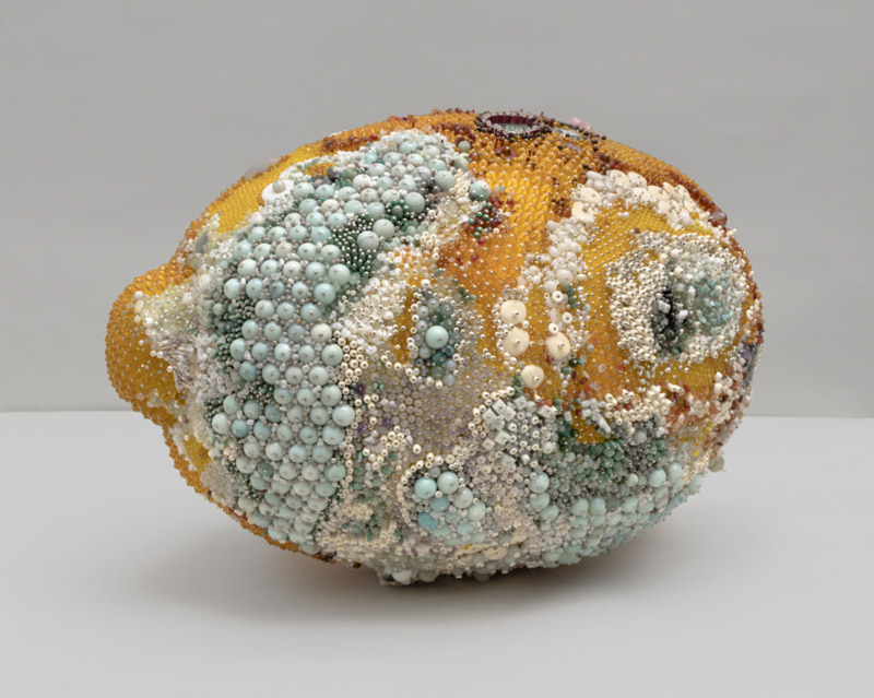 Moldy lemon moldy