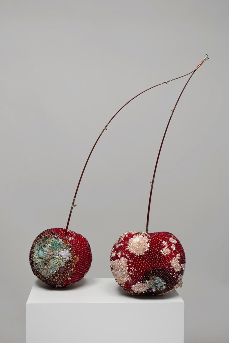 Moldy cherry