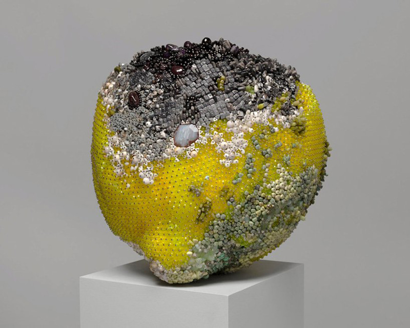 Mold and jewelry on the fruit