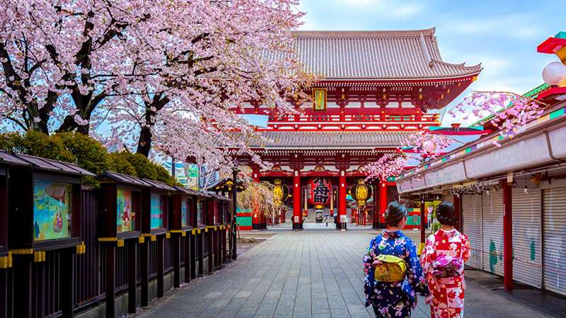 Cherry Blossom Festival at Sensor Temple of Japan, Photo Source: Explore.com, Photographer: Unknown