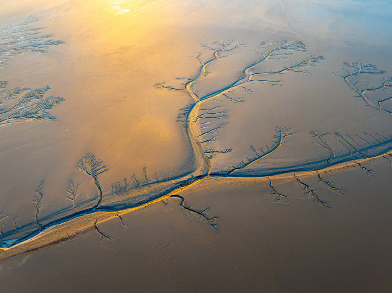 Aerial Photo of Gia Tree Patterns on the qiaang River in Hangzhou, China; Photo Source: Theguardian; Photographer's name: Unknown 