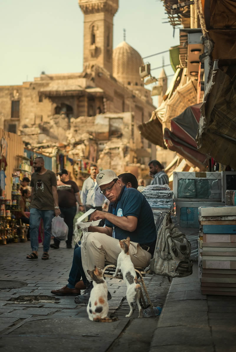 Playing with cats on the streets of Cairo