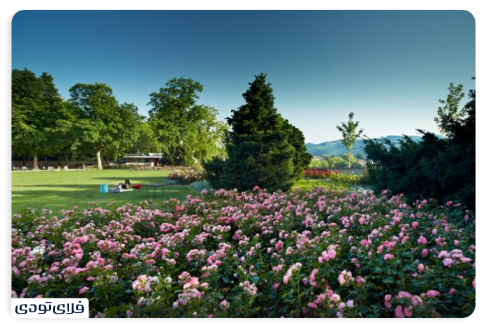 Rose Garden from the sights of Bern