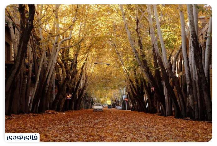 Travel to Isfahan in the fall