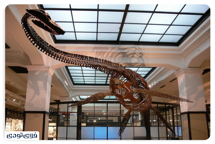 Spectacular places of Tokyo | City of Anime Technology and Cherry Blossom Tokyo National Museum of Nature and Science
